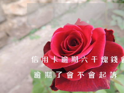 信用卡逾期六千塊錢會起訴嗎(信用卡7千多逾期了會不會起訴)