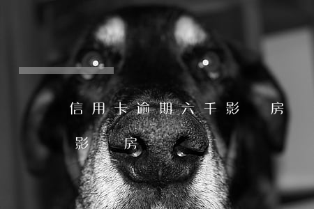 信用卡逾期六千影響房貸嗎(征信逾期幾百塊影響房貸嗎)