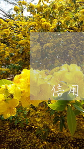 信用卡逾期六千有什么后果(信用卡6萬逾期)
