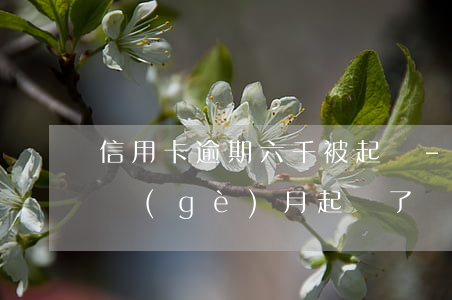 信用卡逾期六千被起訴-信用卡5千逾期6個(gè)月起訴了