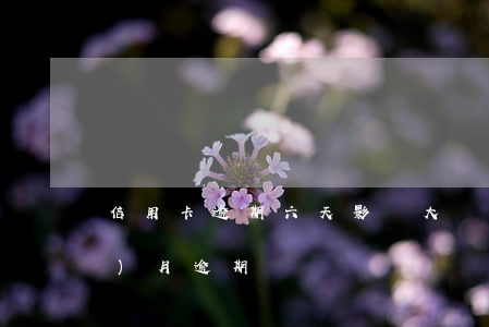 信用卡逾期六天影響大嗎(信用卡6個(gè)月逾期)