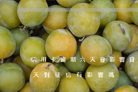 信用卡逾期六天會影響貸款審核(貸款逾期6天對征信有影響嗎)