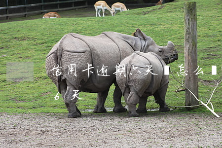 信用卡逾期六天會怎么樣(信用卡不小心逾期6天)