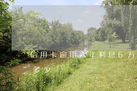 信用卡逾期六年利息(6万信用卡逾期利息是多少)
