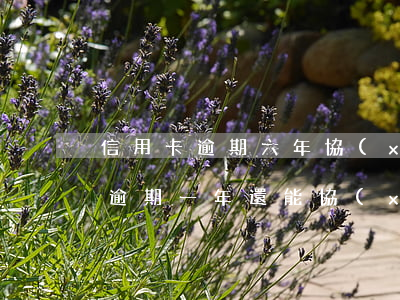 信用卡逾期六年協(xié)商還本(信用卡逾期一年還能協(xié)商嗎)
