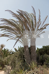信用卡逾期六年后歸還(信用卡六年沒(méi)還)