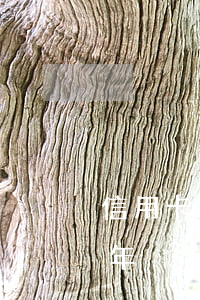 信用卡逾期六年為什么不起訴(信用卡逾期6年)