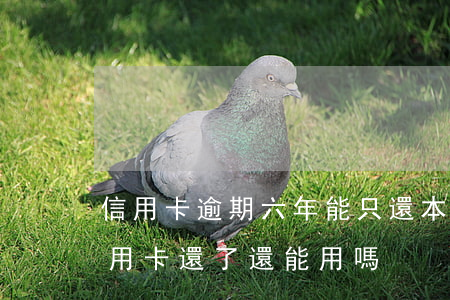 信用卡逾期六年能只還本金嗎 逾期幾年的信用卡還了還能用嗎