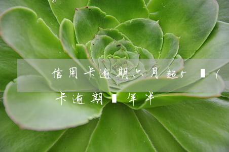 信用卡逾期六月超5萬(wàn)(5千信用卡逾期兩年半)