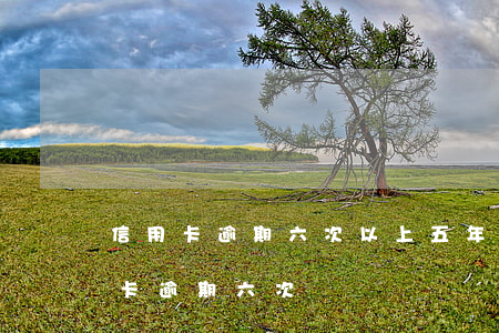 信用卡逾期六次以上 五年內(nèi)信用卡逾期六次