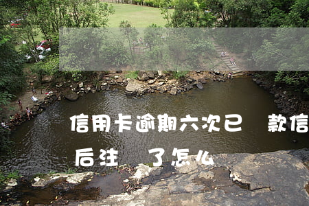 信用卡逾期六次已還款(信用卡逾期六次還款后注銷了怎么辦)