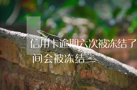 信用卡逾期六次被冻结了(信用卡逾期多长时间会被冻结)