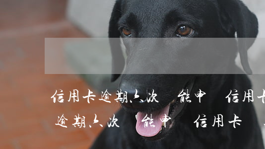 信用卡逾期六次還能申辦信用卡嗎-信用卡逾期六次還能申辦信用卡嗎知乎