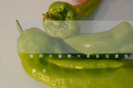 信用卡逾期六百多沒還(信用卡6萬多逾期一個月)