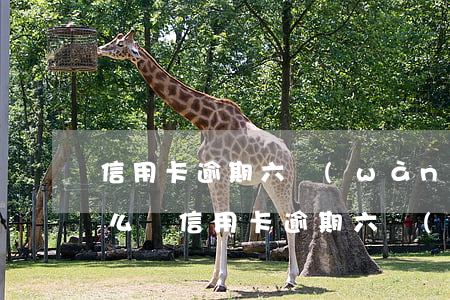 信用卡逾期六萬(wàn)會(huì)怎么樣(信用卡逾期六萬(wàn)多會(huì)坐牢嗎)