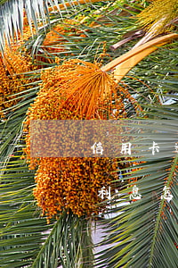信用卡逾期六萬利息怎么收(信用卡逾期六萬利息怎么收)