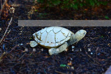 信用卡逾期共45萬