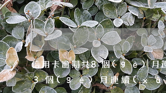 信用卡逾期共8個(gè)月連續(xù)3個(gè)月(連續(xù)三個(gè)月信用卡逾期)