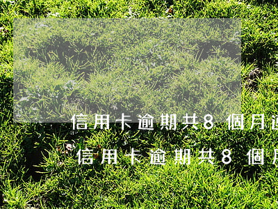 信用卡逾期共8個月連續(xù)3個月-信用卡逾期共8個月連續(xù)3個月怎么辦