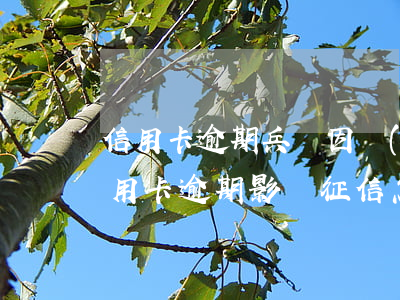 信用卡逾期兵檢 因當(dāng)兵造成信用卡逾期影響征信怎么辦