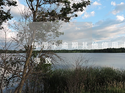 信用卡逾期其他信用卡(因為其他信用卡逾期導致)