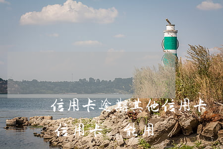 信用卡逾期其他信用卡還能用嗎(有貸款逾期信用卡還能用嗎)