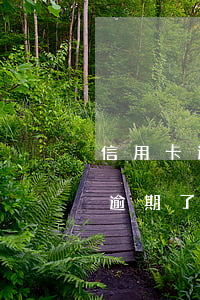 信用卡逾期其他储蓄卡会扣钱 招行的信用卡逾期了会扣储蓄卡的钱吗