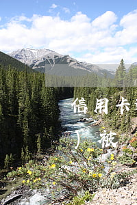 信用卡逾期其他卡能正常使用嗎會(huì)被凍結(jié)（信用卡逾期其他卡能正常使用嗎）