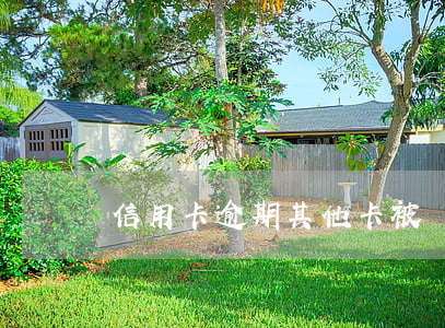 信用卡逾期其他卡被凍結(jié)