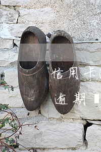 信用卡逾期其他卡被凍結(jié)(信用卡逾期會(huì)不會(huì)凍結(jié)其他卡)