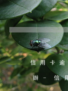 信用卡逾期其他銀行卡凍結(jié)怎么辦-信用卡逾期其他銀行卡凍結(jié)怎么辦理