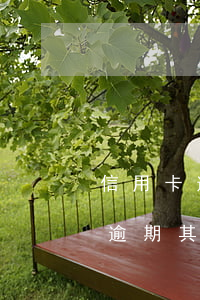 信用卡逾期其他銀行的卡可以用嗎-信用卡逾期其他銀行的卡可以用嗎安全嗎