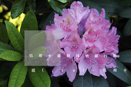 信用卡逾期其他銀行賬戶會(huì)被凍結(jié)-信用卡逾期其他銀行賬戶會(huì)被凍結(jié)嗎