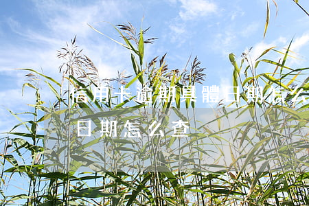 信用卡逾期具體日期怎么查(信用卡逾期具體日期怎么查)