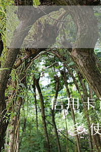 信用卡逾期再分期征信會(huì)覆蓋嗎-多使用信用卡會(huì)不會(huì)覆蓋了逾期記錄