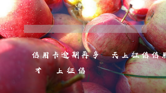 信用卡逾期再多幾天上征信(信用卡逾期幾天才會上征信)