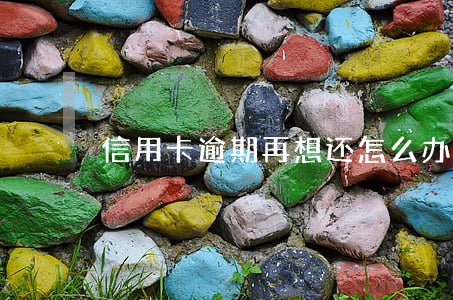信用卡逾期再想还怎么办