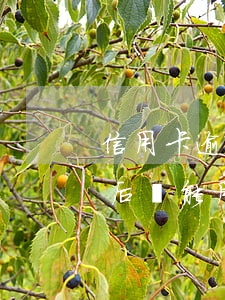 信用卡逾期再注銷以后(信用卡逾期再注銷以后還能用嗎)