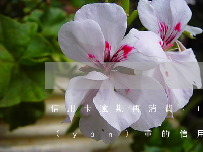 信用卡逾期再消費(fèi)怎么辦(逾期嚴(yán)重的信用卡還了能恢復(fù)嗎)