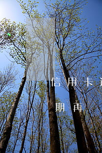 信用卡逾期再還最低還款可以嗎-信用卡逾期再還最低還款可以嗎知乎