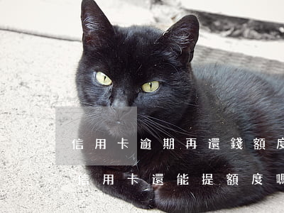 信用卡逾期再還錢額度能否提高(有過逾期的信用卡還能提額度嗎)