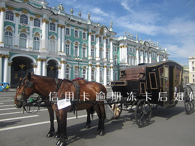 信用卡逾期冻卡后如何解冻？详细步骤解析
