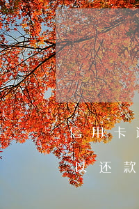 信用卡逾期冻结了可-信用卡逾期冻结了可以还款吗