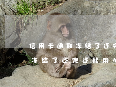 信用卡逾期冻结了还完还能用么(信用卡逾期冻结了还完还能用么吗)