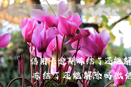 信用卡逾期冻结了还能解除吗-信用卡逾期冻结了还能解除吗微信