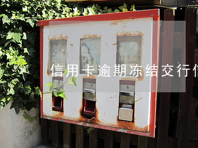 信用卡 逾期 冻结（交行信用卡逾期3个月解冻）