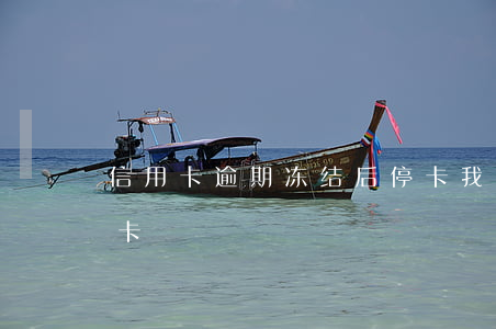 信用卡逾期冻结后停卡(我信用卡逾期现已停卡)