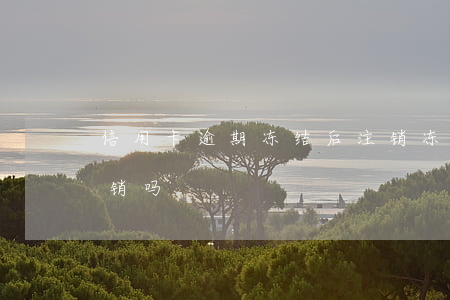 信用卡逾期冻结后注销(冻结的信用卡需要注销吗)