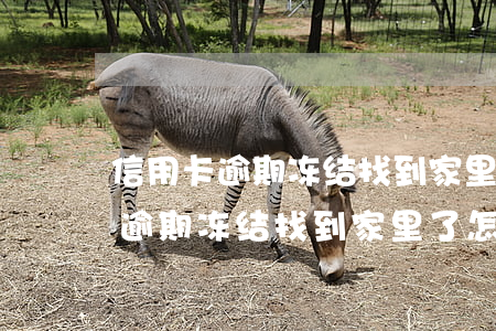 信用卡逾期冻结找到家里了怎么办-信用卡逾期冻结找到家里了怎么办呢