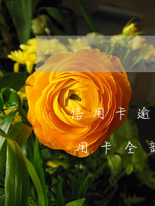 信用卡逾期冻结支付宝所有账号吗 支付宝信用卡全部逾期了该怎么办
